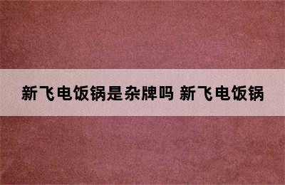 新飞电饭锅是杂牌吗 新飞电饭锅